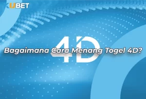 10 Tips menang togel 4D